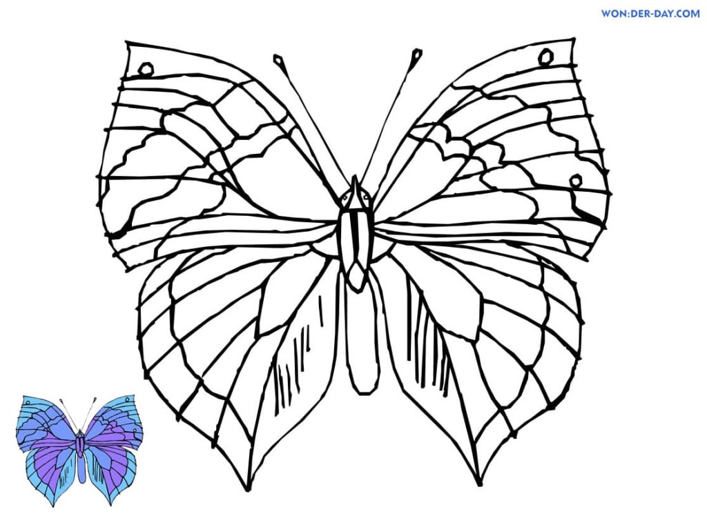  Dibujos de Mariposas para colorear