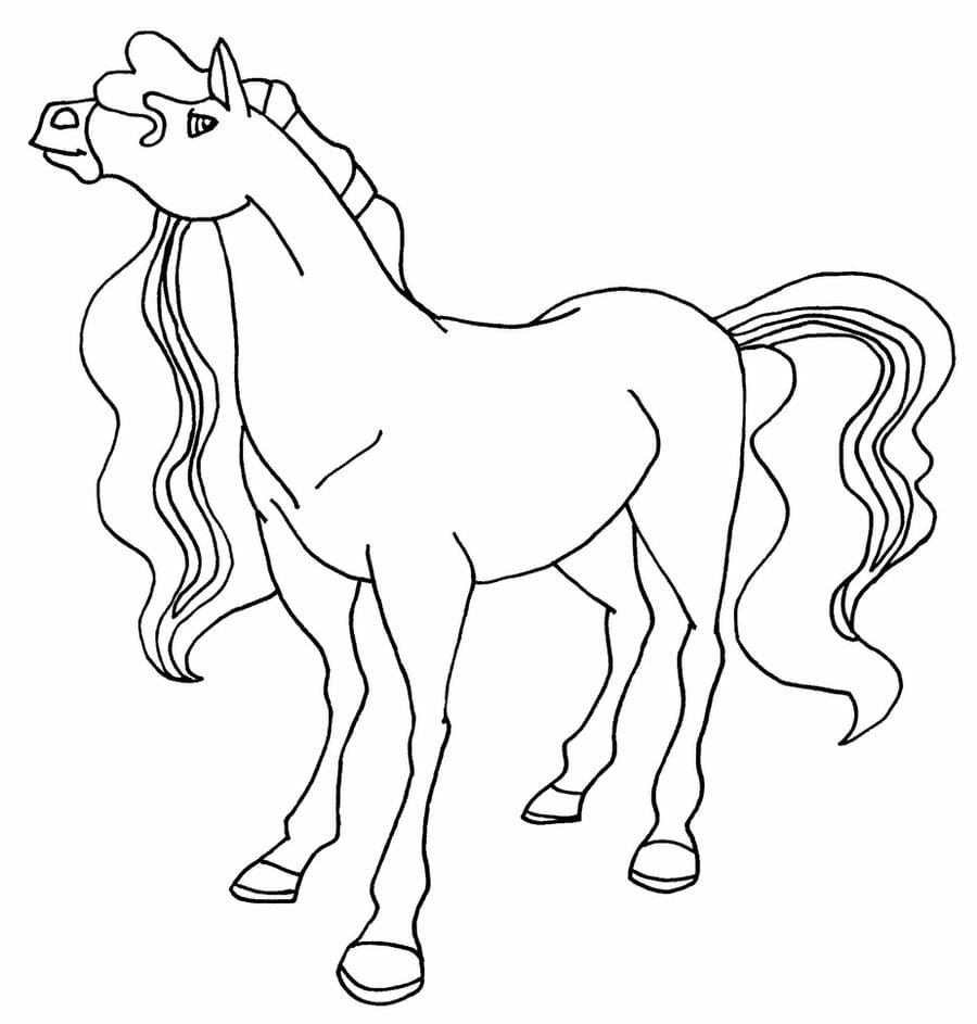 Coloriage Horseland