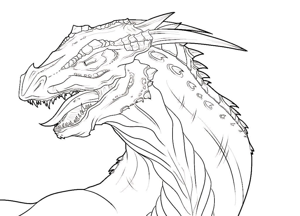Dragon coloring pages. 