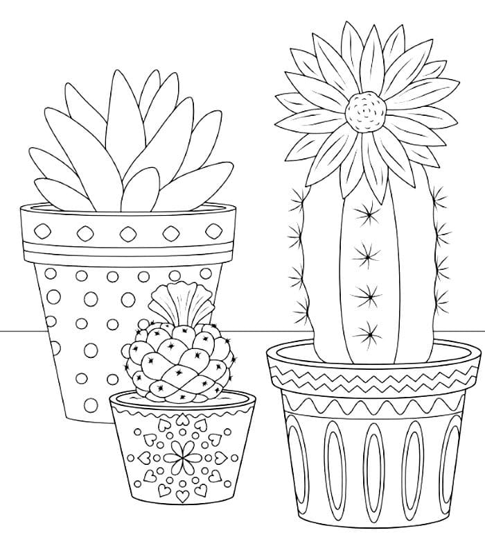 27 Cactos - Flores e vegetação - Coloring Pages for Adults