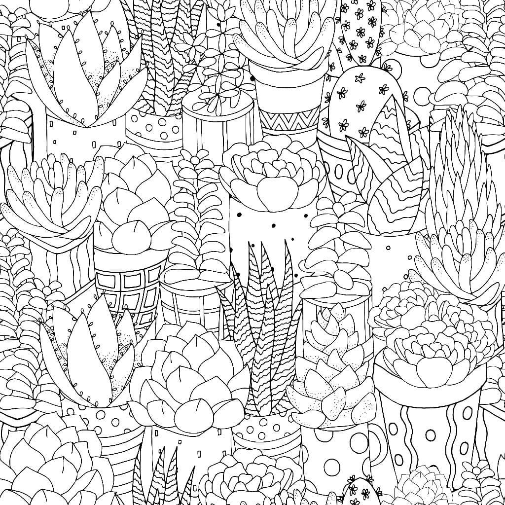 Ausmalbilder Kaktus