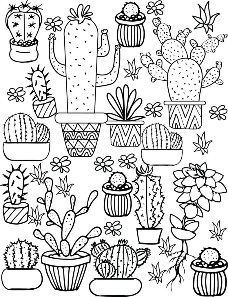 Ausmalbilder Kaktus