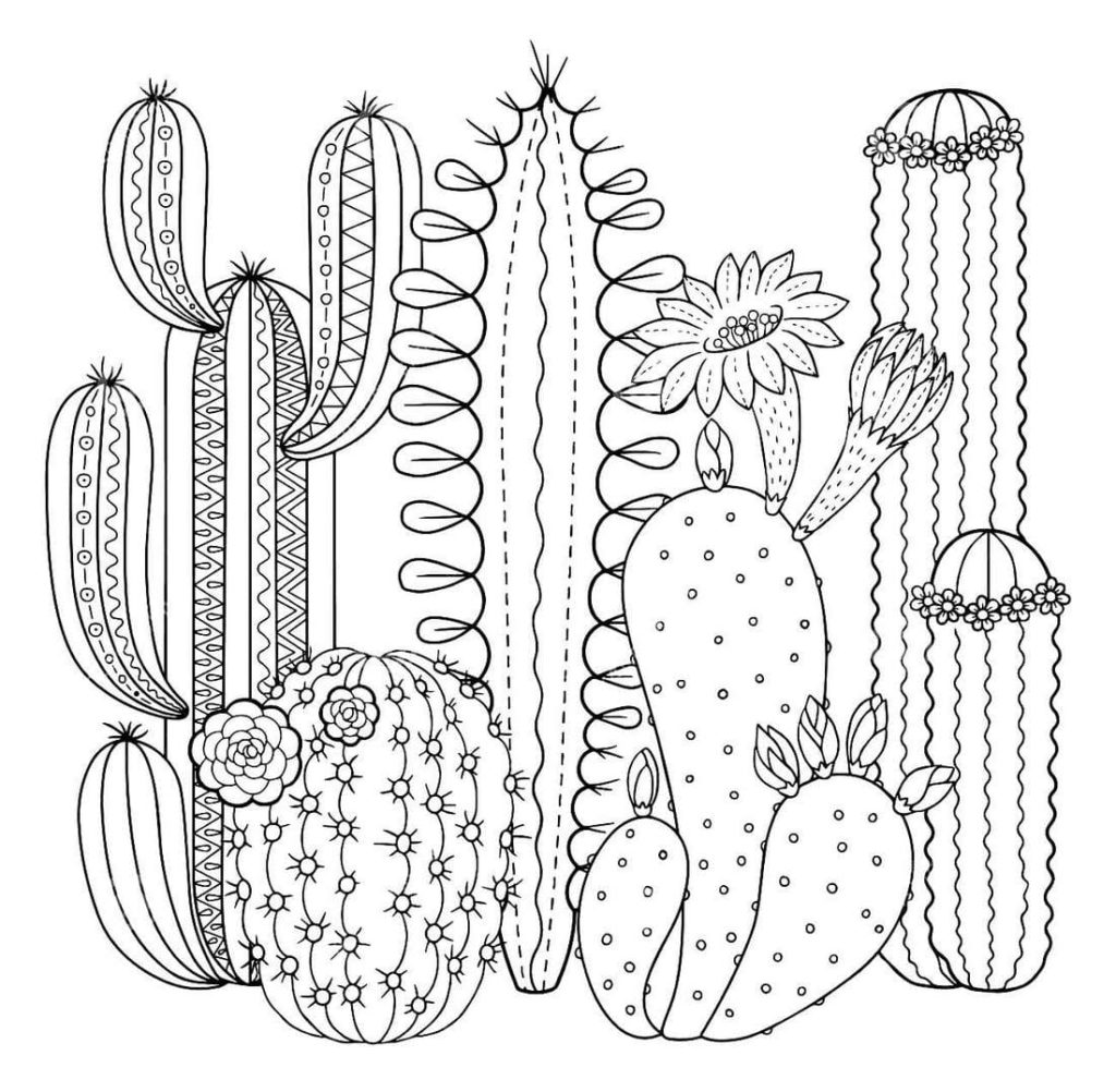 Cactus Coloring pages 100 Coloring Pages to print for free