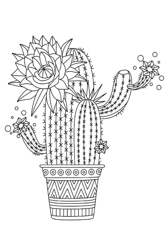 Cactus Coloring pages - 100 Coloring Pages to print for free