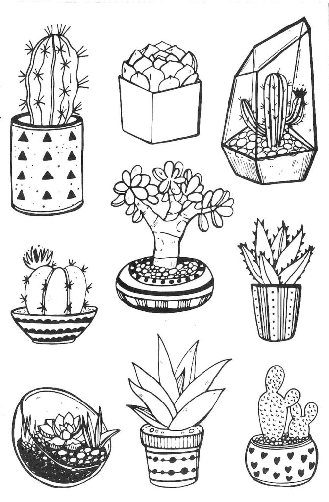 Disegni di Cactus da colorare