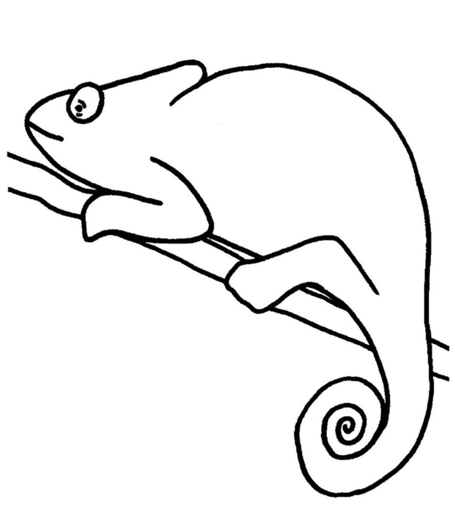 Chameleon coloring pages