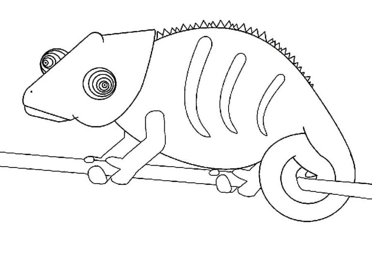 Chameleon coloring pages - Free coloring pages | WONDER DAY — Coloring ...