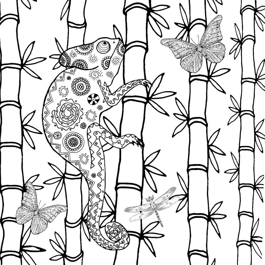 Chameleon coloring pages - Free coloring pages | WONDER DAY — Coloring pages  for children and adults