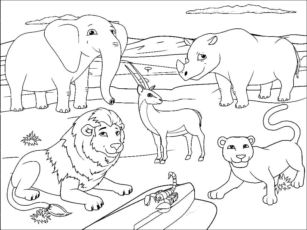 Desenhos de Animais da Selva para Colorir