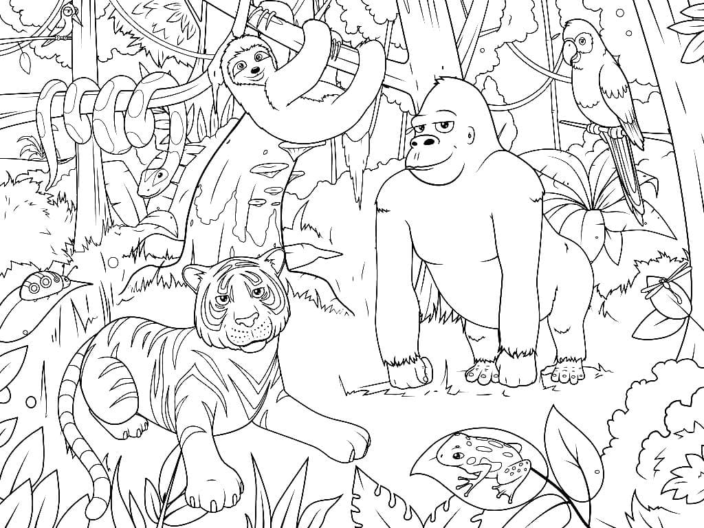 Раскраски Животные джунглей
