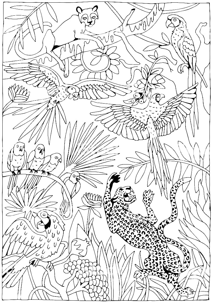 Desenhos de Animais da Selva para Colorir