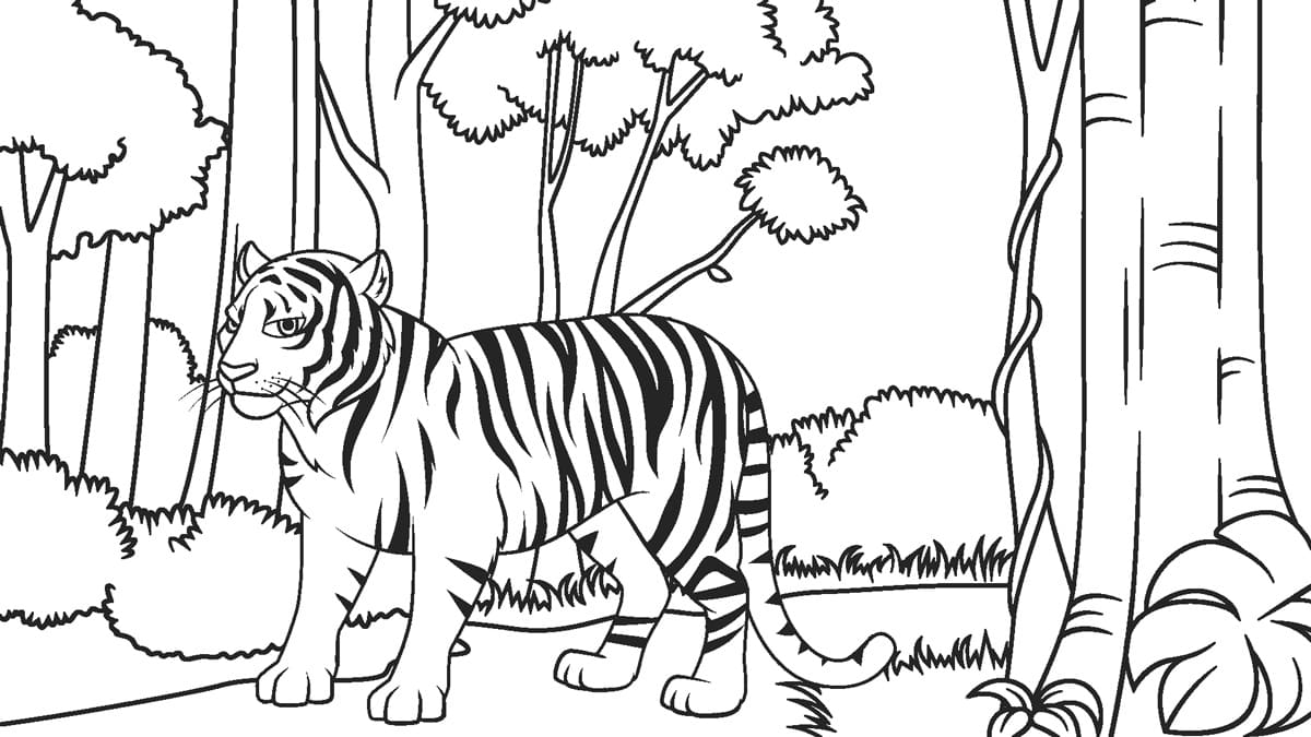 Тигр в тропическом лесу.