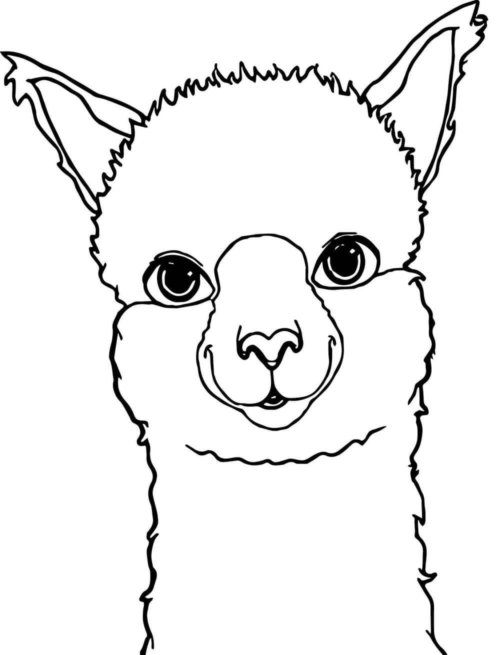 Llama Coloring Pages 100 Printable coloring pages