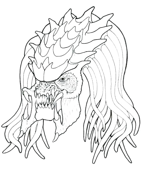 Desenhos de Predador para colorir