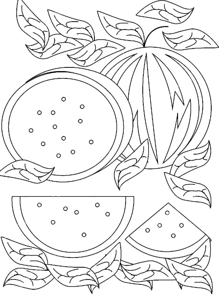 Watermelon coloring pages