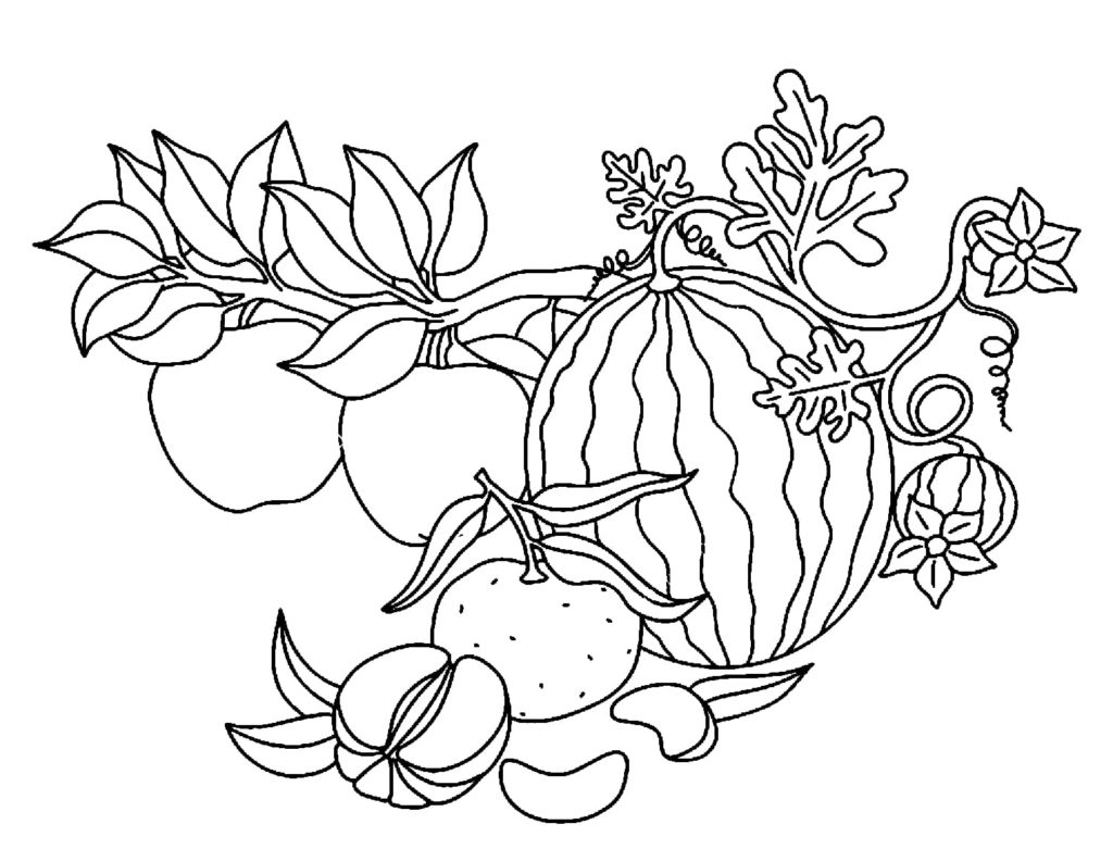 Watermelon coloring pages