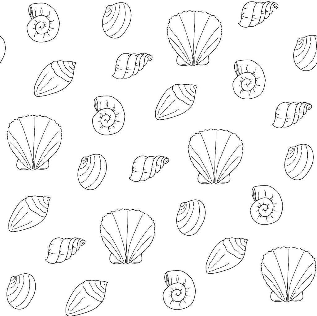 Dibujos de Conchas marinas para colorear