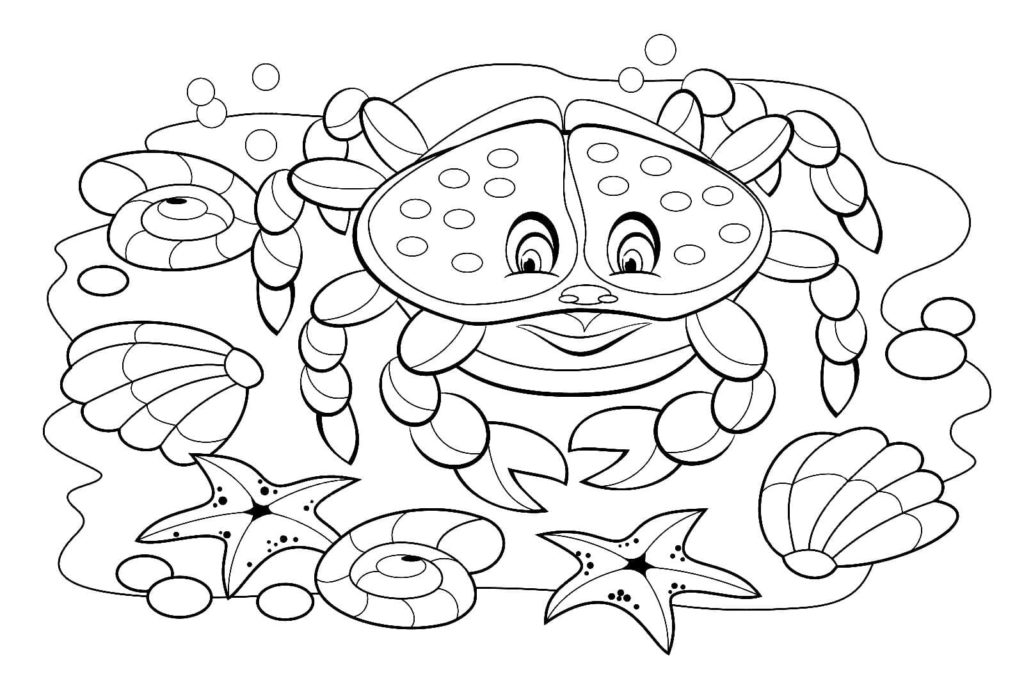 Coloriage Coquillages