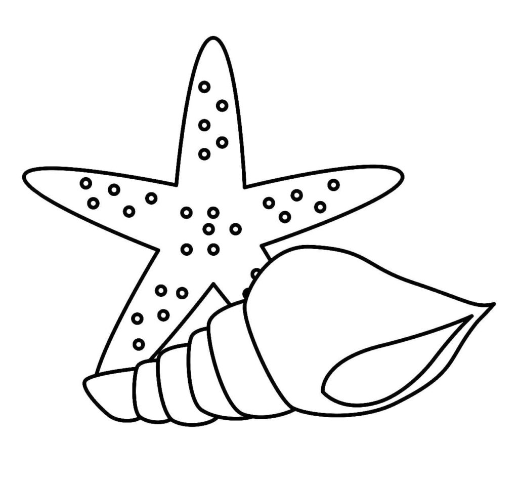 Shell coloring pages