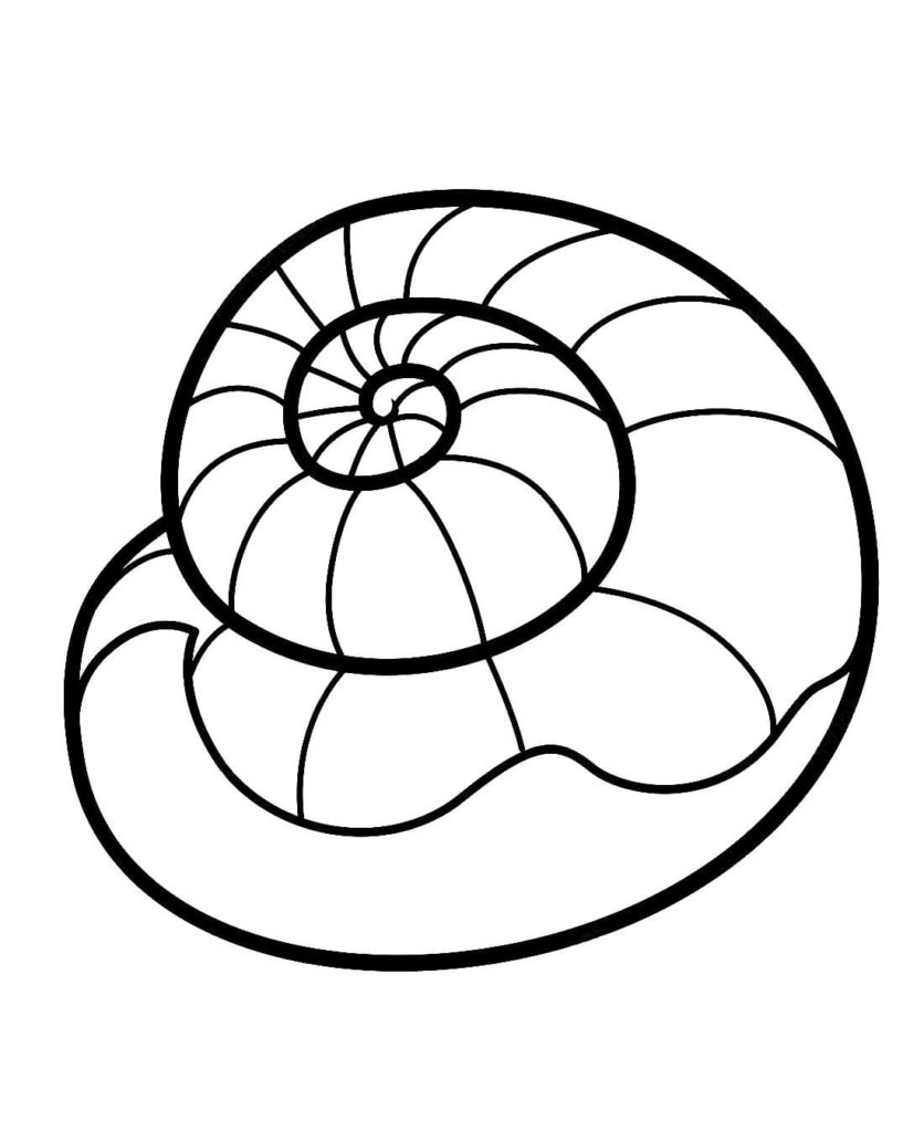 Shell coloring pages