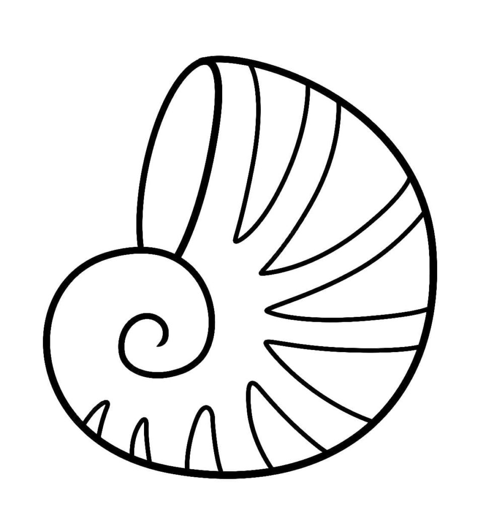 Shell coloring pages