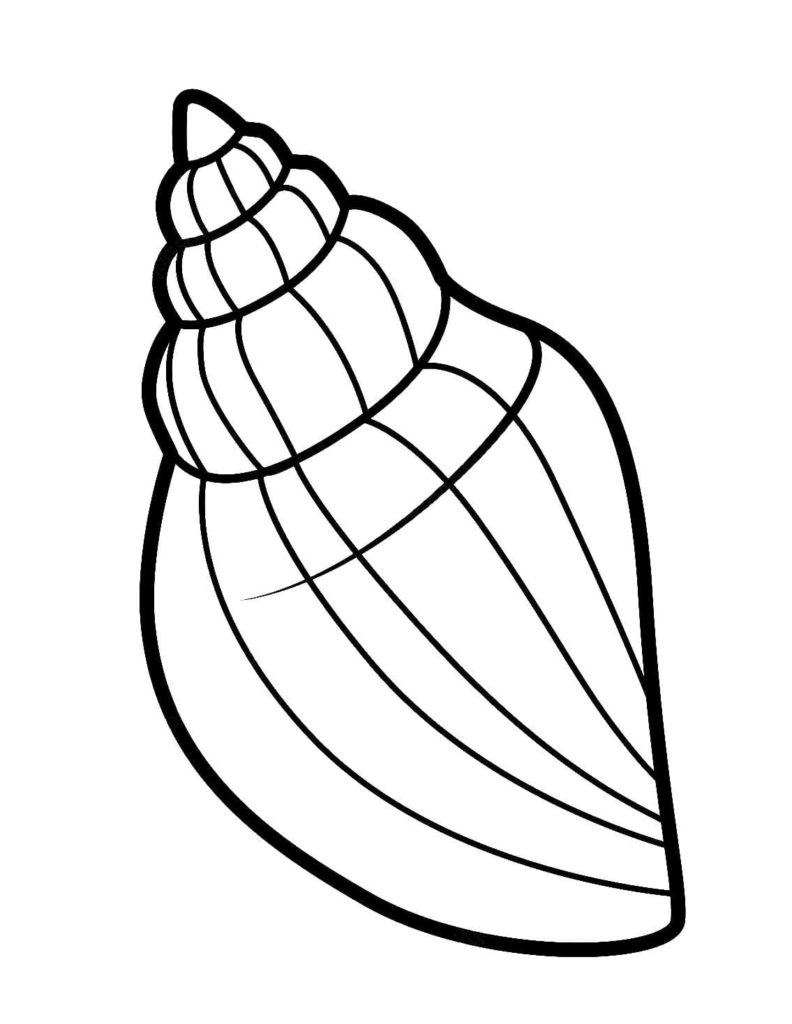 Seashells Coloring Pages