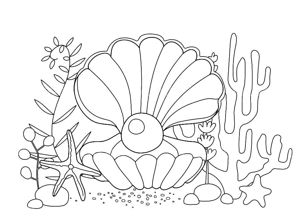 Dibujos de Conchas marinas para colorear | Dibujos gratis