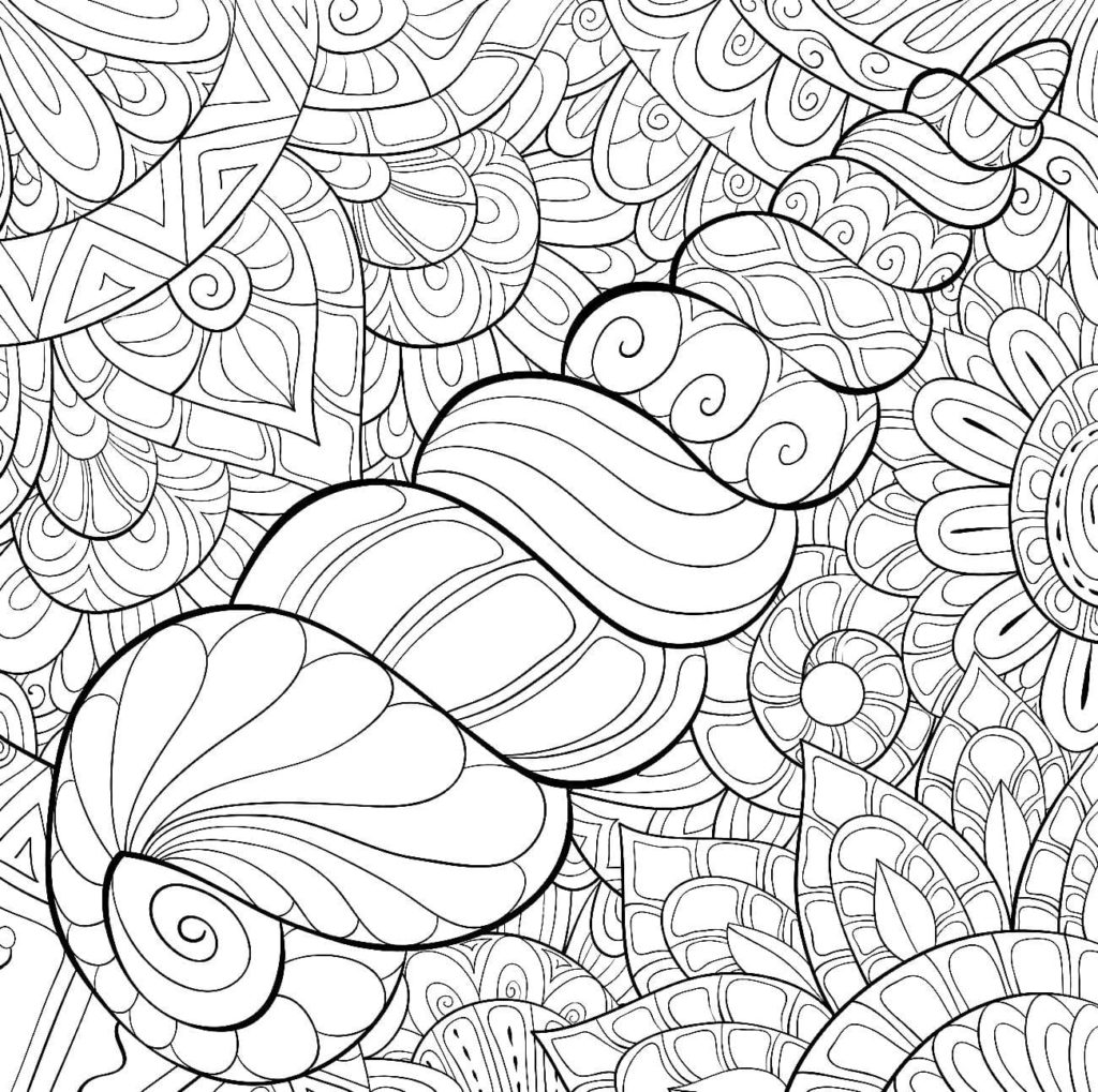 Coloriage Coquillages