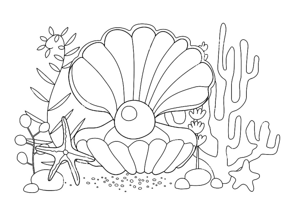 Shell coloring pages