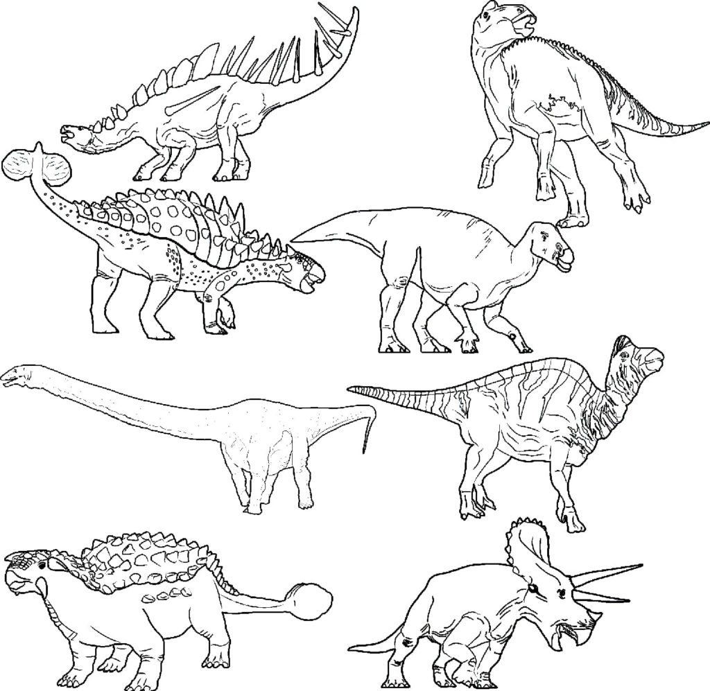 Desenhos de Dinossauros para colorir