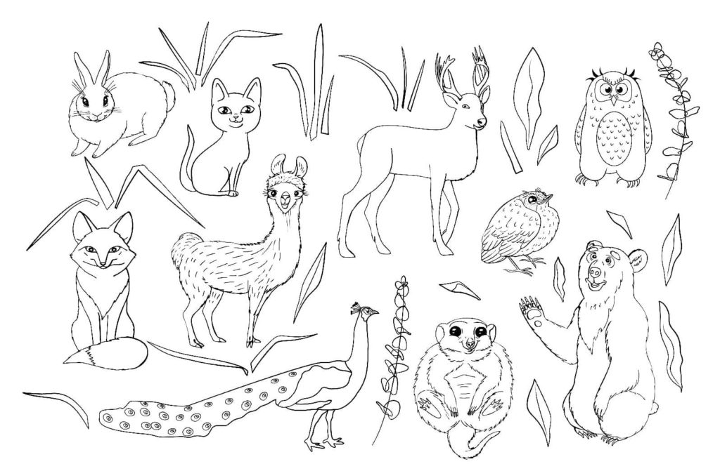 Desenhos de Animais para colorir