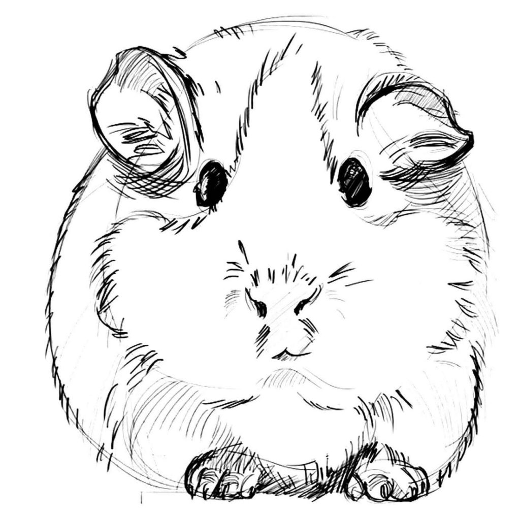Ausmalbilder Hamster