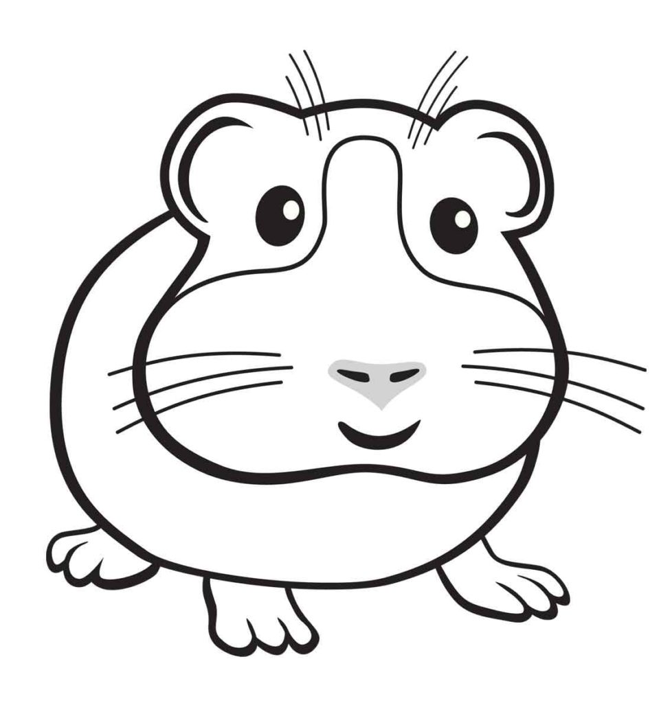 Desenhos de Hamster para colorir