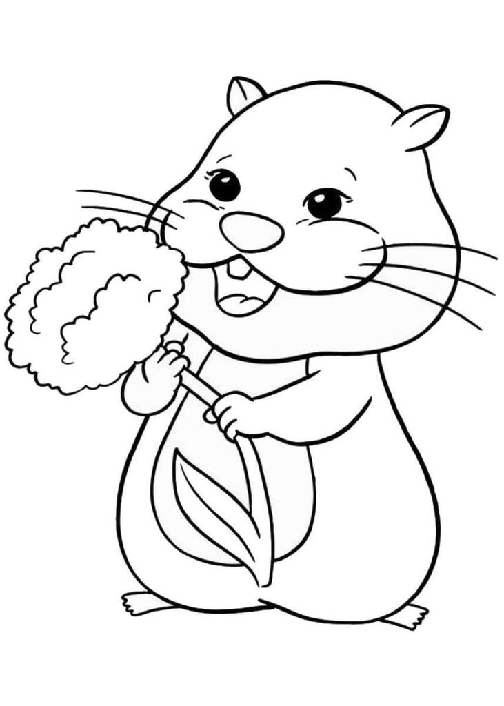 Coloriage Hamster