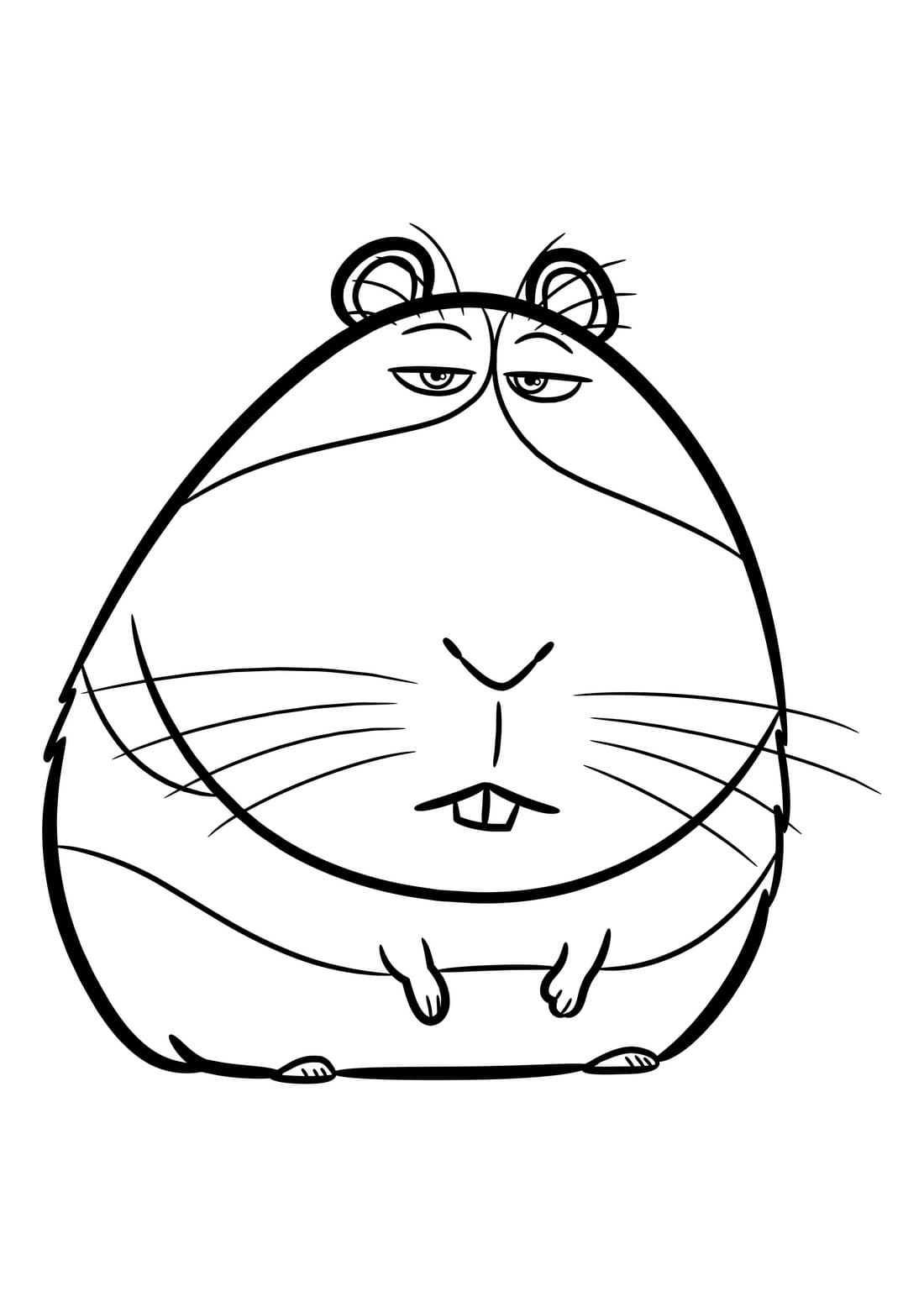 Hamster coloring pages - Print for free | WONDER DAY — Coloring pages