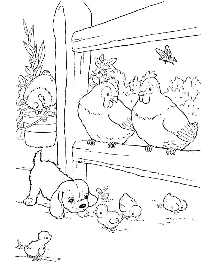 Coloriages Animaux de la Ferme