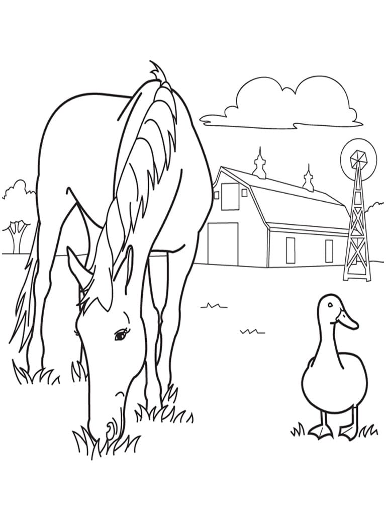 Coloriages Animaux de la Ferme