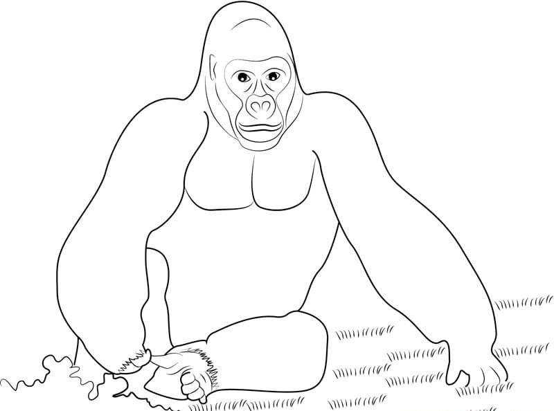 king kong coloring pages print and color