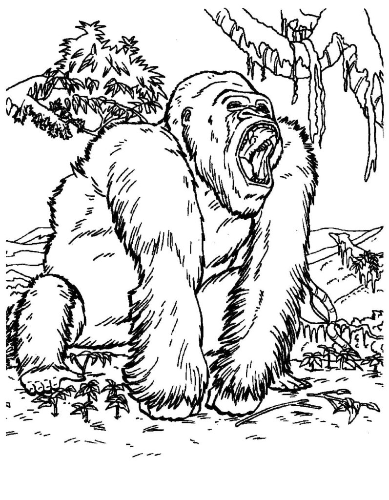 Desenhos de King Kong para colorir