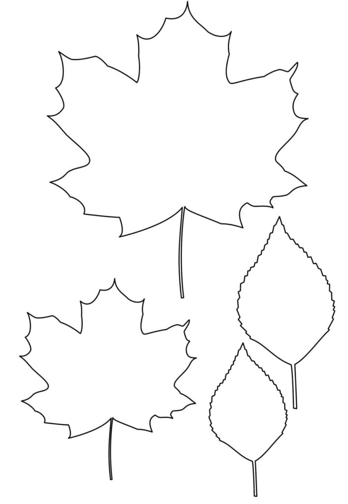 Раскраски Листья