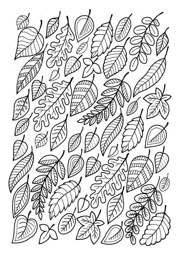 Desenhos de Folhas para colorir