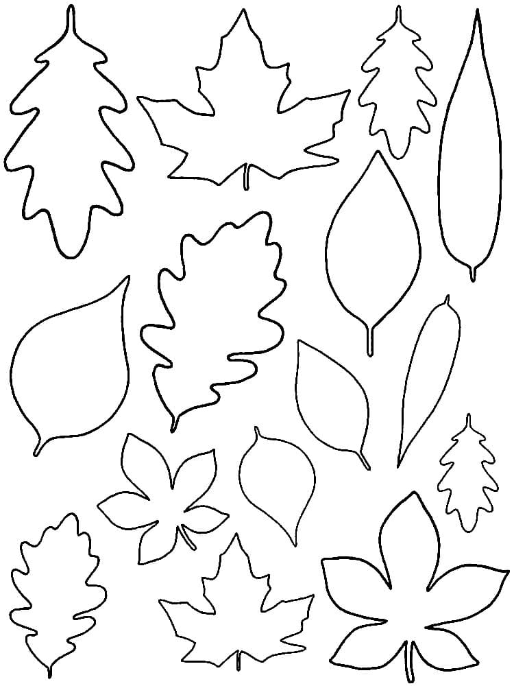 Desenhos de Folhas para colorir