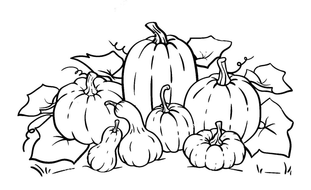 Pumpkin coloring pages