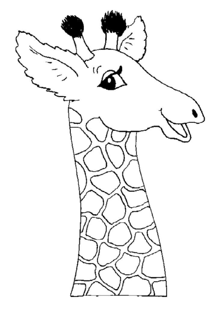 Раскраски Жираф