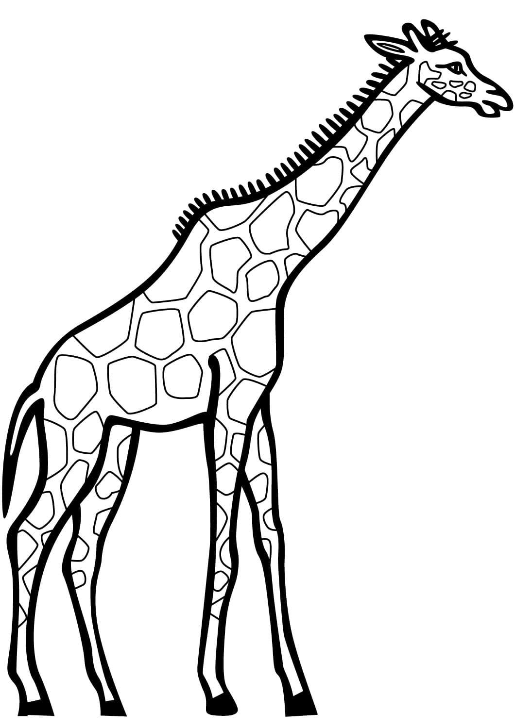 Жираф для раскрашивания детям