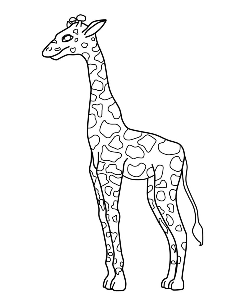 Disegni da colorare Giraffa