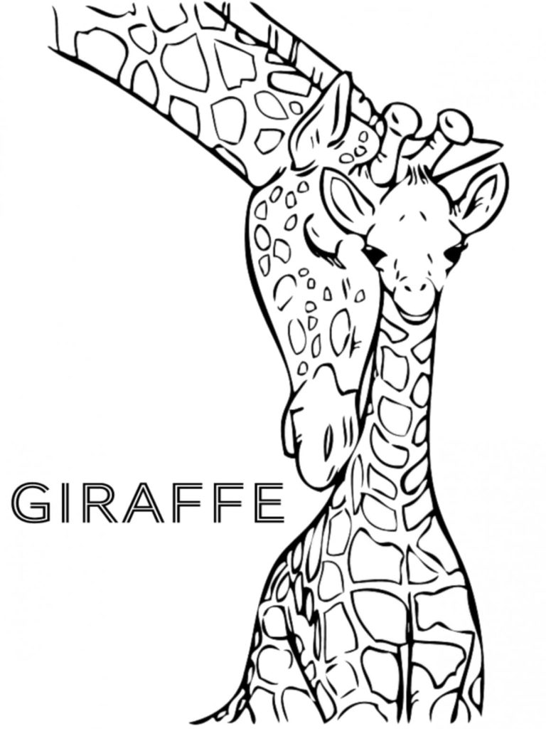 Ausmalbilder Giraffen   20 Malvorlagen zum Ausdrucken
