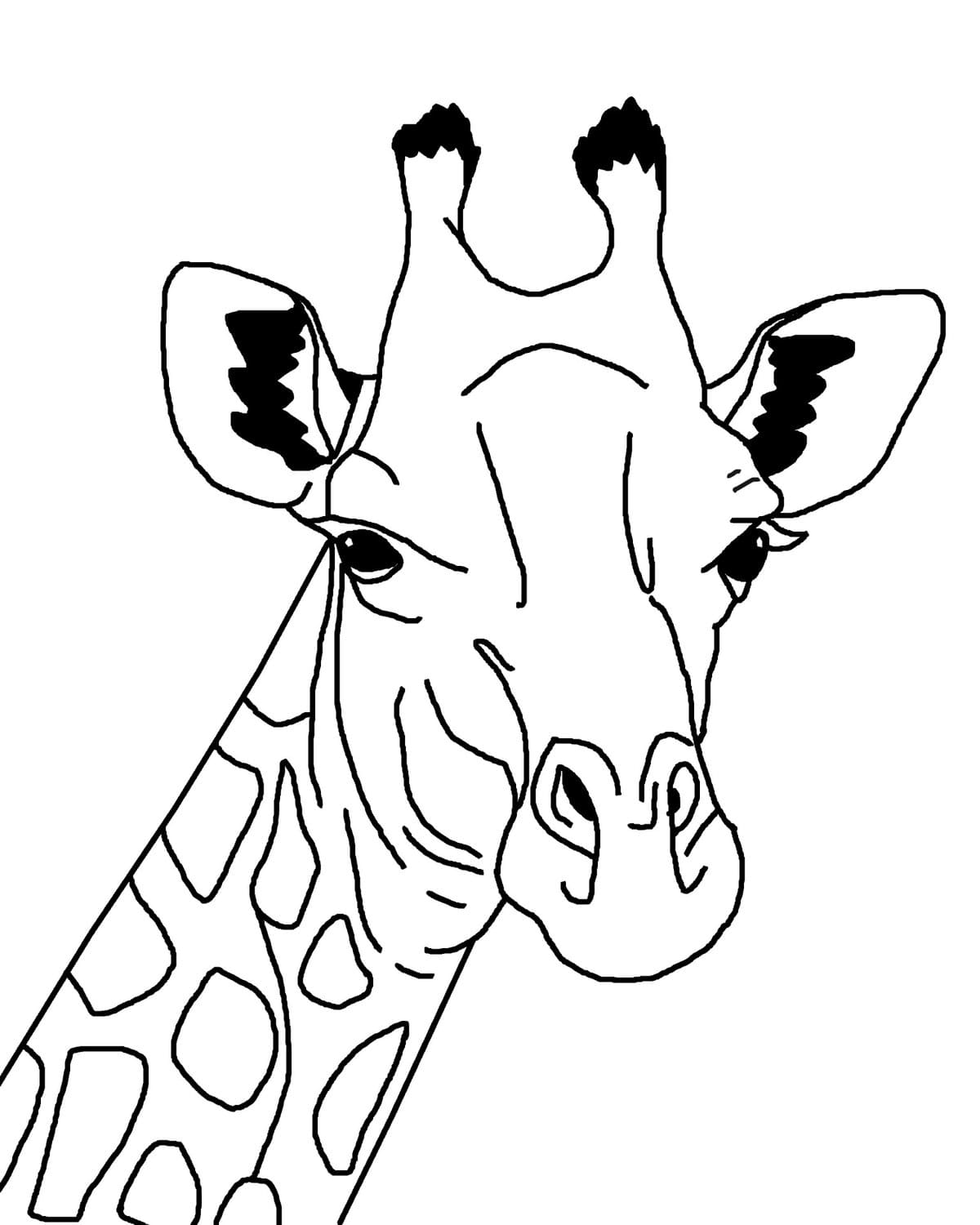 Рисунок жирафа
