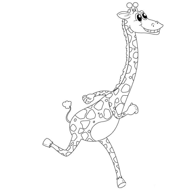 Desenhos de Girafa para colorir