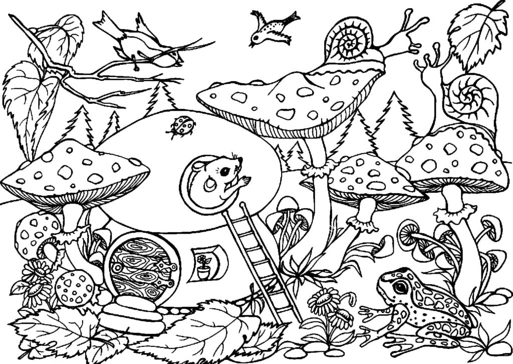 Disegni di Funghi da colorare